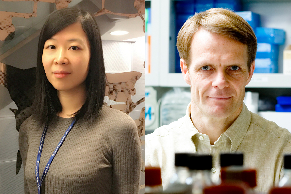 SKI postdoctoral fellow Yuchen Qi and Director of the Center for Stem Cell Biology Lorenz Studer