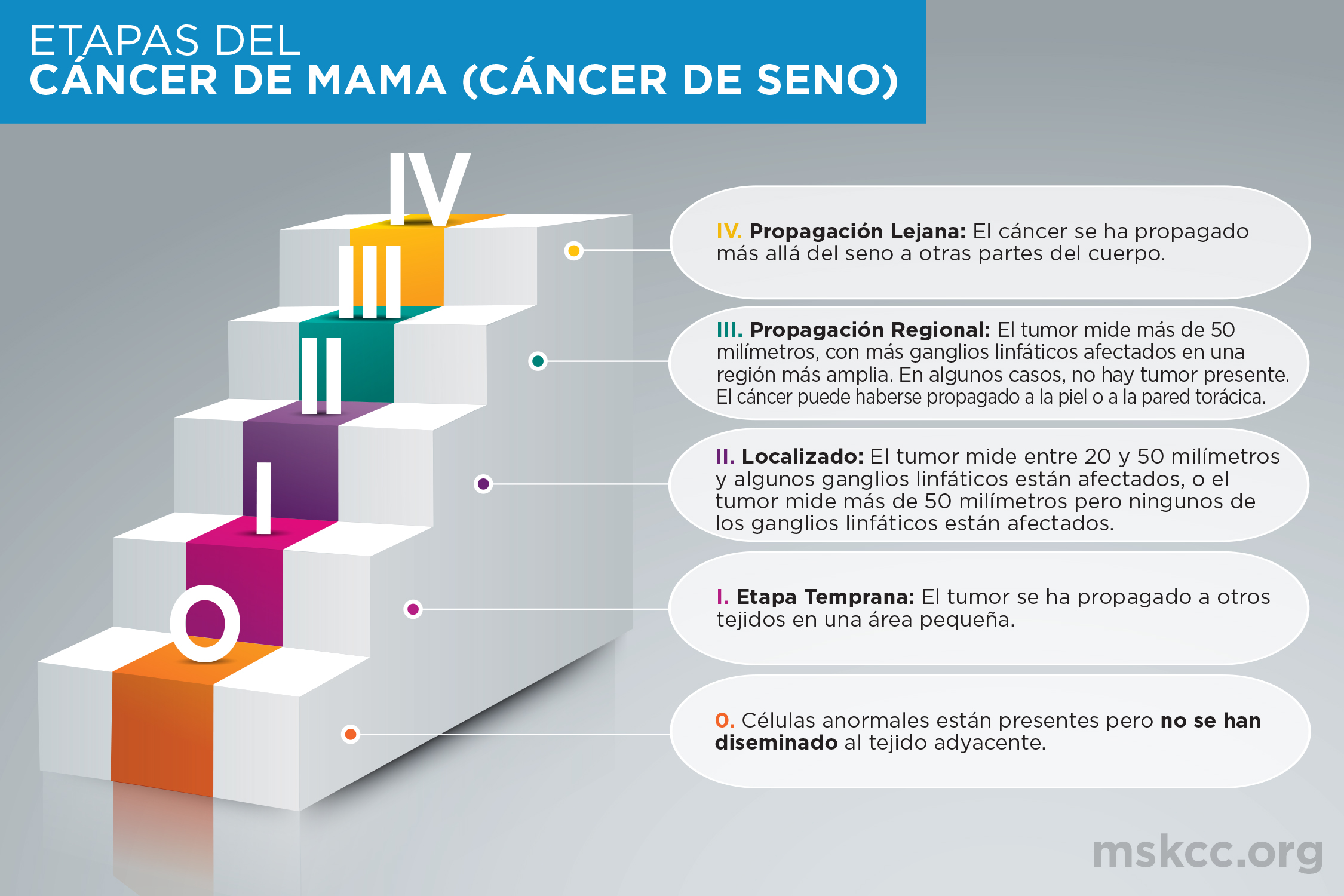 Breast Cancer Infographic - Spanish