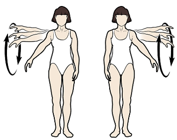 Figura 3. Círculos con los brazos hacia atrás
