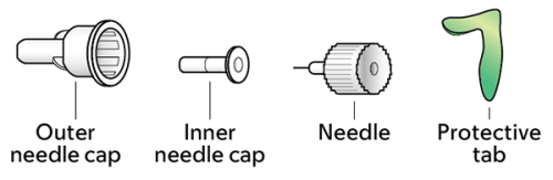 Figure 2. Parts of an insulin pen needle