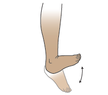 图 2. 脚踝踩动
