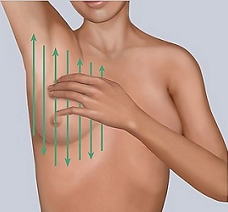 Figure 5. Using the vertical pattern to examine your breast