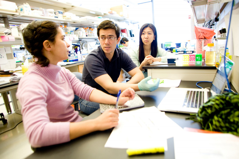 Pictured: Joana Alves Vidigal, Pedro Miura &amp; Yoon-Chi Han