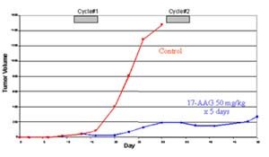 17-AAG, at doses tolerable to the host mouse, inhibits growth of CWR22RSA6 prostate tumor xenografts.