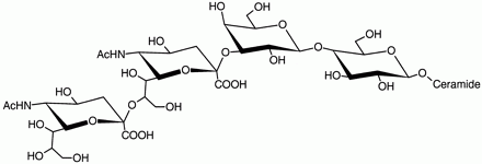 GD3 ganglioside, a target for monoclonal antiobody therapy.