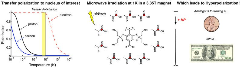 At low temperature, electrons in a strong magnetic field adopt spin unity, i.e., they are all polarized in the same direction. The goal is to transfer this high-spin polarization to our half-spin nucleus of interest, here 13C. With the use of microwave irradiation we can transfer polarization for a stable organic free radical (OX063 shown) to neighboring [1-13C] pyruvate, hyperpolarizing it. This yields a dramatic enhancement of more than 10,000 times. This is like turning a penny into a $100 bill instantly (conversation with G. Reed 2012. Images from wikipedia.org.)
