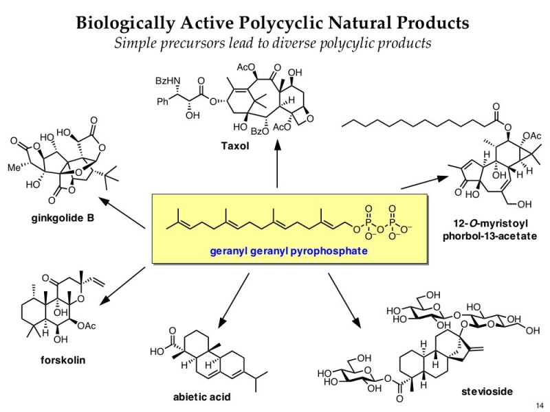 diversity oriented synthesis, rational drug design, and chemical biology research