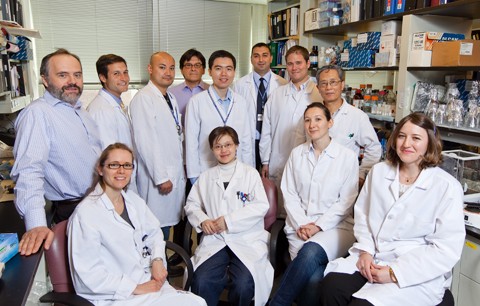 The Ladanyi Lab