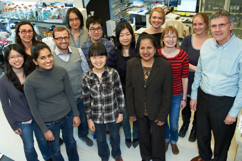Pictured: Hall Lab Group Photo