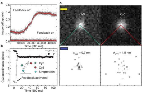 Active Feedback Control