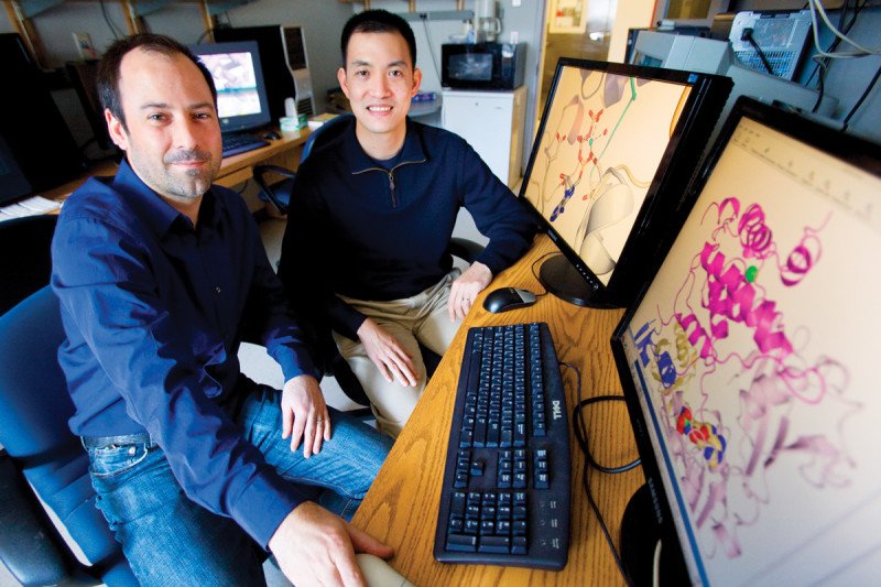 Christopher Lima &amp; Derek Tan