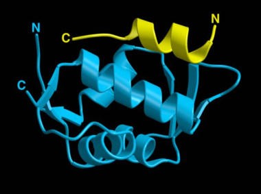 MDM2 Bound to p53 Transactivation