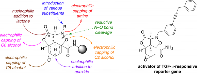 JACS 1999 graphical abstract, Journal of the American Chemical Society