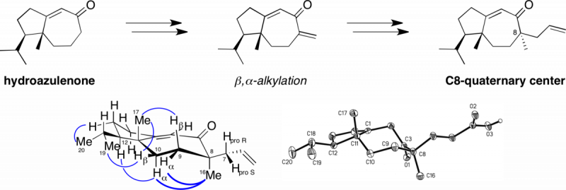 TL 2001 graphical abstract, Tetrahedron Letters