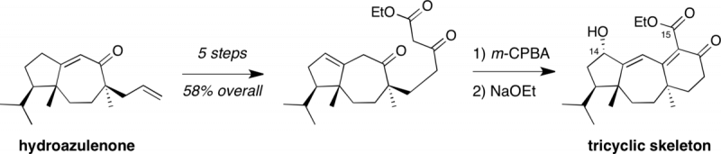 ACIE 2002a graphical abstract, Angewandte Chemie International Edition