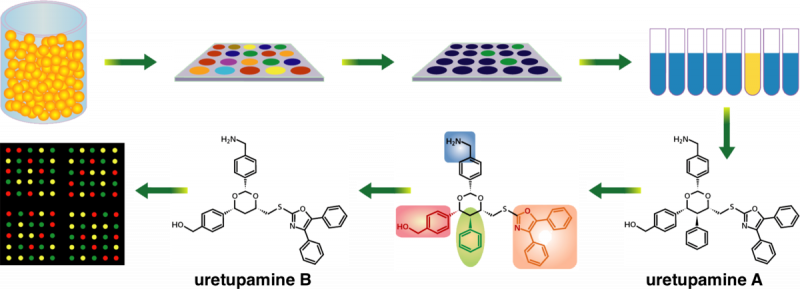 NBT 2002 graphical abstract, Nature Biotechnology
