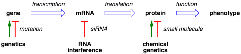 BGER 2004 graphical abstract, Biotechnology and Genetic Engineering Reviews