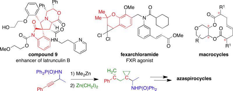COCB 2005 graphical abstract, Current Opinion in Chemical Biology