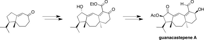 JOC 2005 graphical abstract, Journal of Organic Chemistry