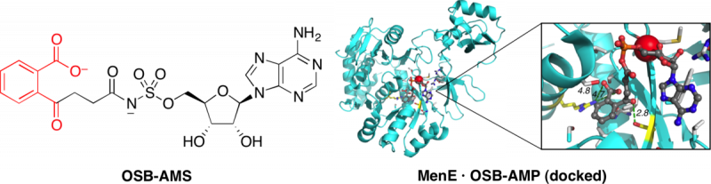 CBC 2012 graphical abstract, ChemBioChem