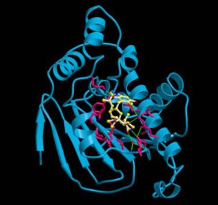 HSP90 in complex with geldanamycin