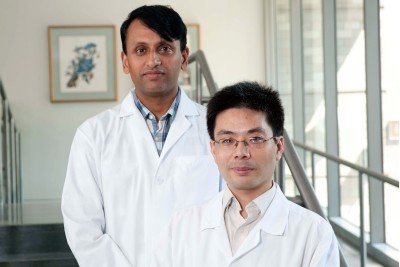 Sriram Venneti & Hanwen Zhang