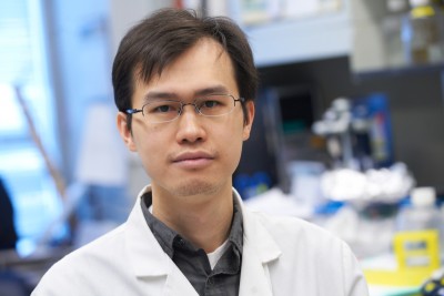 Kai Xu