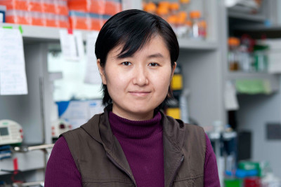 Pictured: Xiaohui Qu