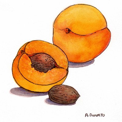 Amygdalin