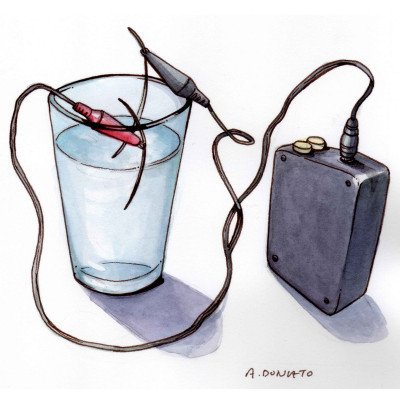 Colloidal Silver