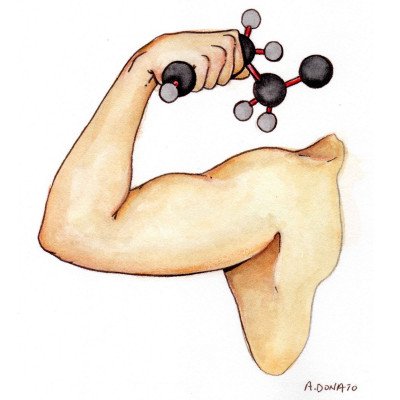 Conjugated Linoleic Acid