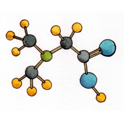 Dimethylglycine