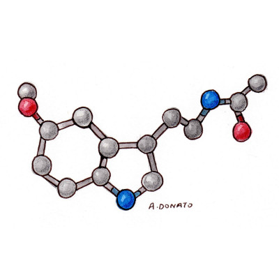 Melatonin