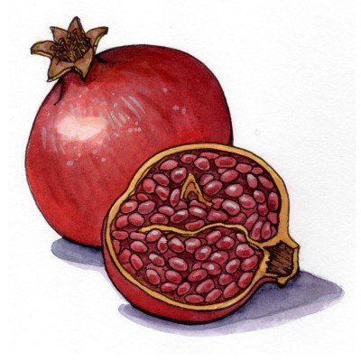 Pomegranate