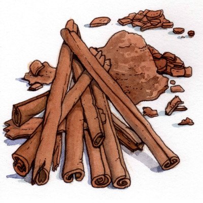 Cinnamon