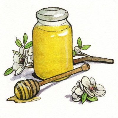 Manuka Honey