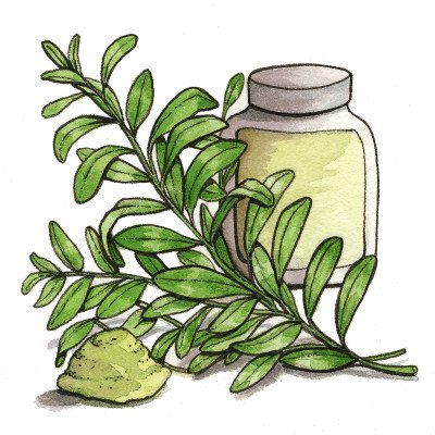 Oldenlandia diffusa