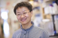 Pictured: Ruimin Huang