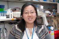 Pictured: Ji Yeun Hur