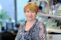 Pictured: Faina Bogomolniy