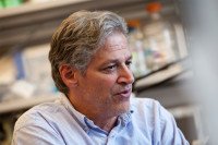 Pictured: Robert Benezra