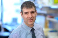 Pictured: Massimiliano Spaliviero