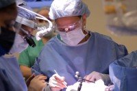 Pictured: Viviane Tabar