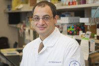 Omar I. Abdel-Wahab, MD