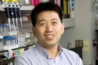 Pictured: Songhai Shi