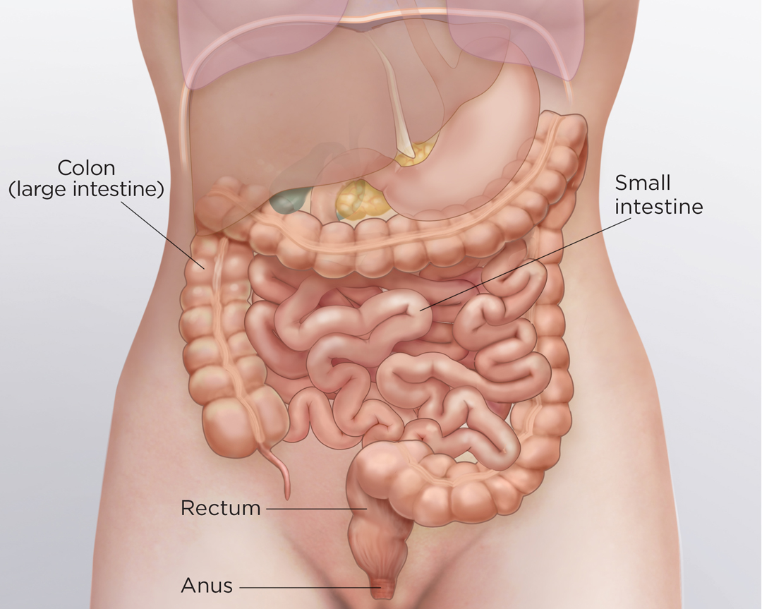 is there a blood test to detect bowel cancer