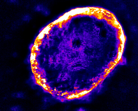 Purple cellular sphere lit on the rim with yellow light.