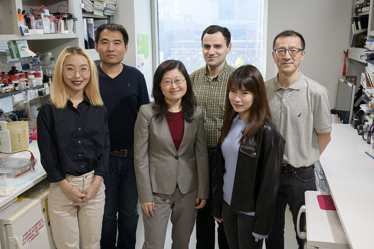 The Liang Deng Lab