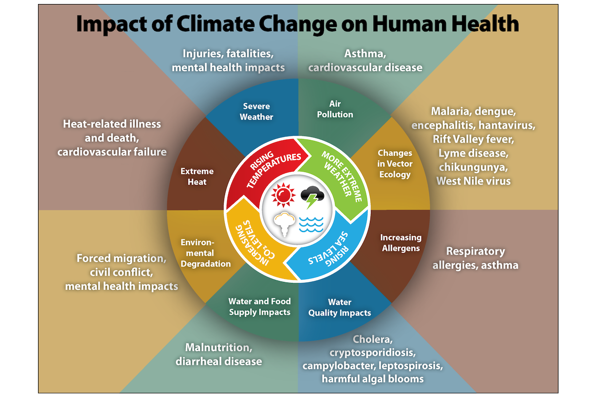 Infografía sobre el clima y la salud de los CDC