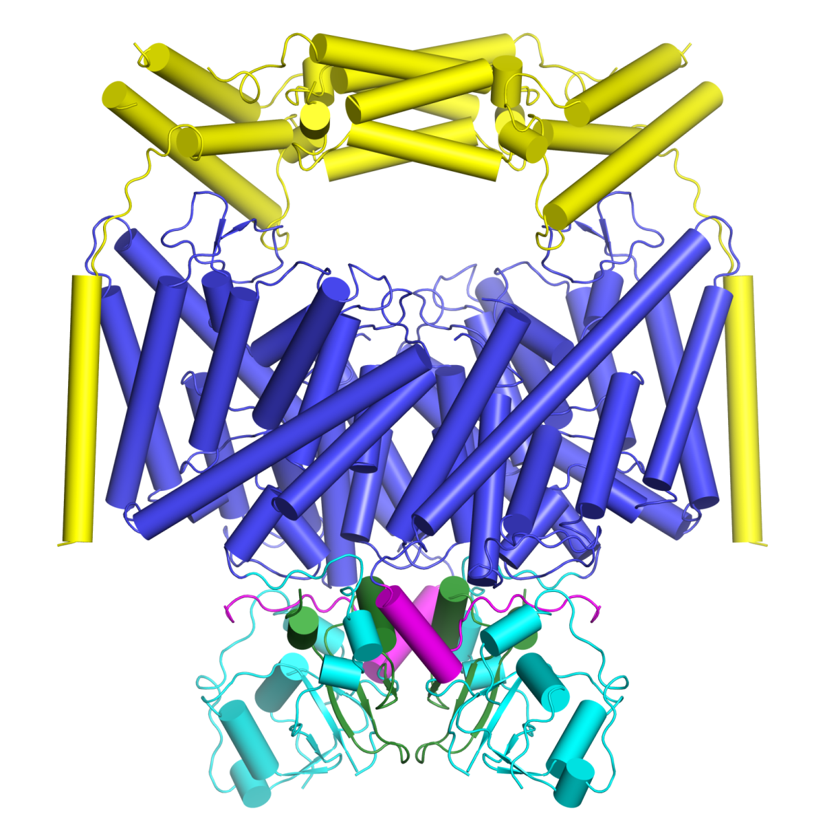 Structure of the lysosomal chloride-proton transporter CLC-7 in complex with OSTM1
